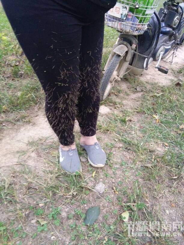 ȥ�Ͷ��˿�������ɶ