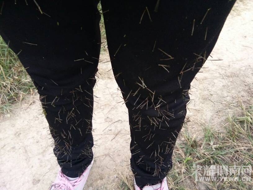 ȥ�Ͷ��˿�������ɶ