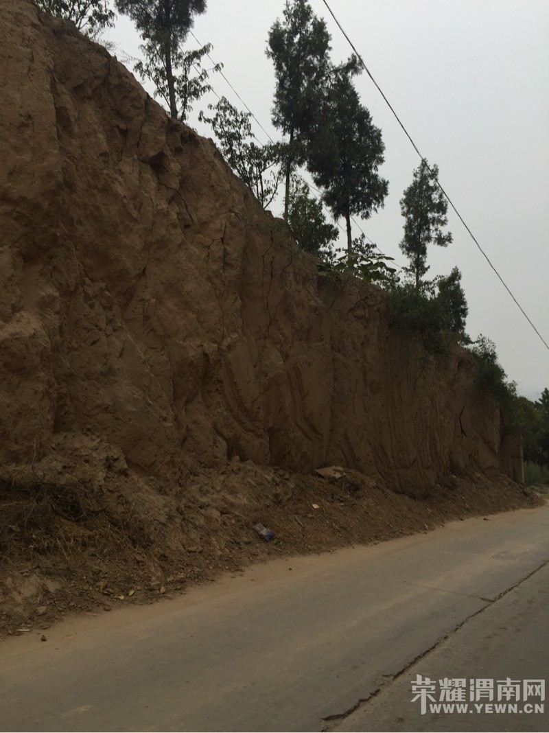 ÿ�λؼҿ������������������ж�����˵�������ζ