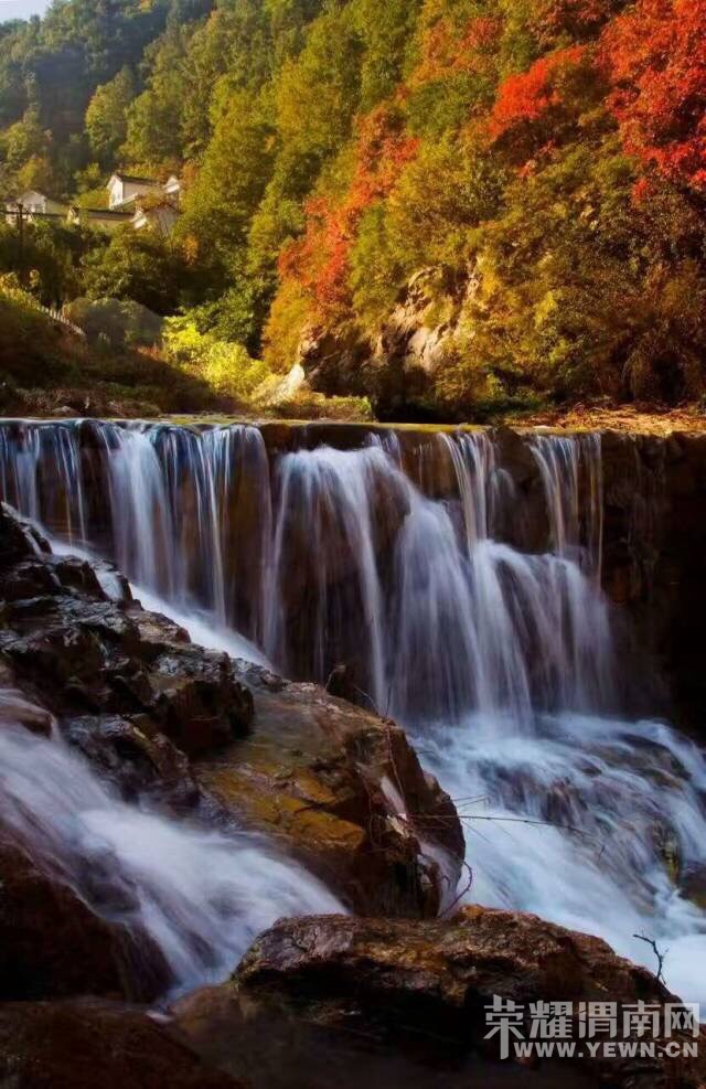105313g8s58rn13np6immk.jpg