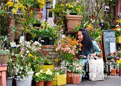 ������߸�Ь���������ȴ�ڱ��������ڽ�������ɭŮ��԰����˳��Ҳ��Ǯ��