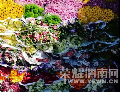 ������߸�Ь���������ȴ�ڱ��������ڽ�������ɭŮ��԰����˳��Ҳ��Ǯ��