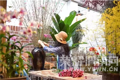 ������߸�Ь���������ȴ�ڱ��������ڽ�������ɭŮ��԰����˳��Ҳ��Ǯ��