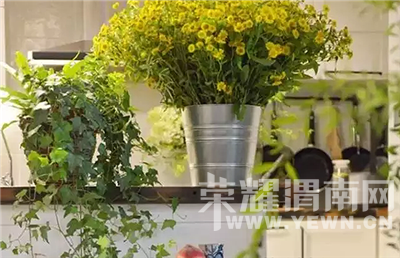 ������߸�Ь���������ȴ�ڱ��������ڽ�������ɭŮ��԰����˳��Ҳ��Ǯ��