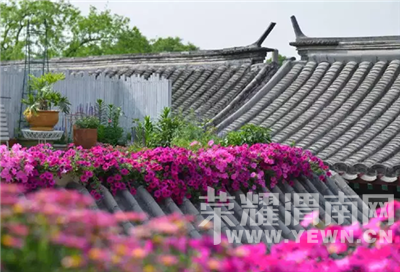 ������߸�Ь���������ȴ�ڱ��������ڽ�������ɭŮ��԰����˳��Ҳ��Ǯ��