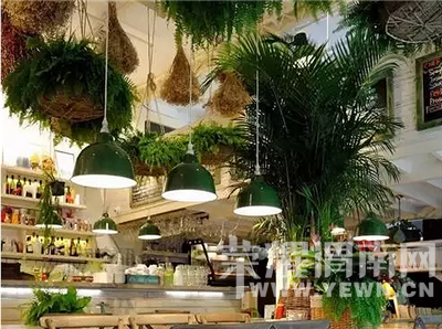 ������߸�Ь���������ȴ�ڱ��������ڽ�������ɭŮ��԰����˳��Ҳ��Ǯ��