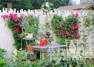 ������߸�Ь���������ȴ�ڱ��������ڽ�������ɭŮ��԰����˳��Ҳ��Ǯ��