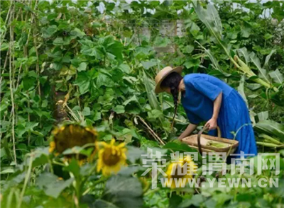 ������߸�Ь���������ȴ�ڱ��������ڽ�������ɭŮ��԰����˳��Ҳ��Ǯ��