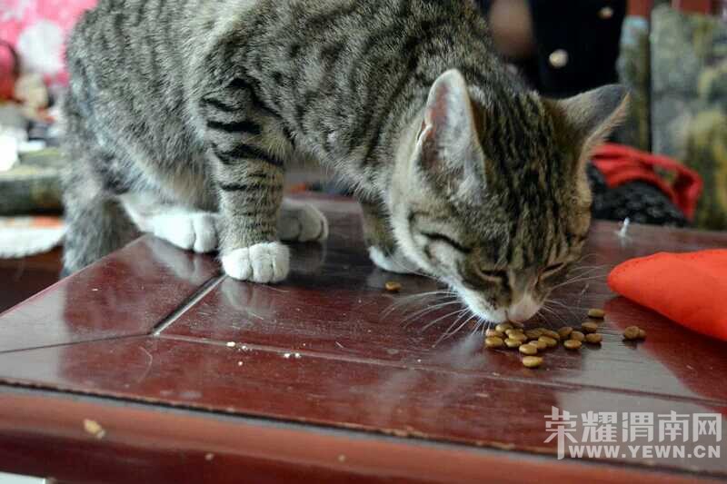 ���Ƿ�֧���������湺�򣬻�����Ը��ȥ����һЩ���˳���