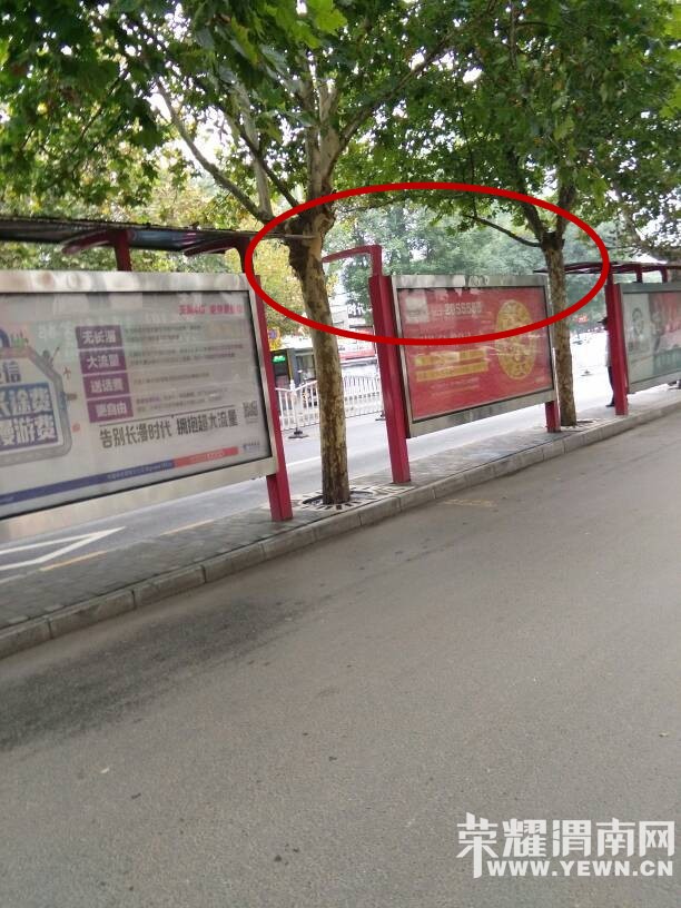 һ��·����ӰԺ����վ̨�Ķ����Լ����ȣ�����ˣ�