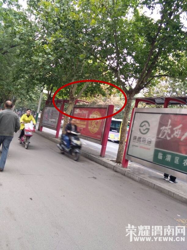 һ��·����ӰԺ����վ̨�Ķ����Լ����ȣ�����ˣ�