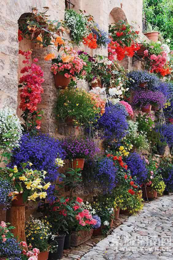 �ⷱ���ƽ������磬�δ����ҵ�����