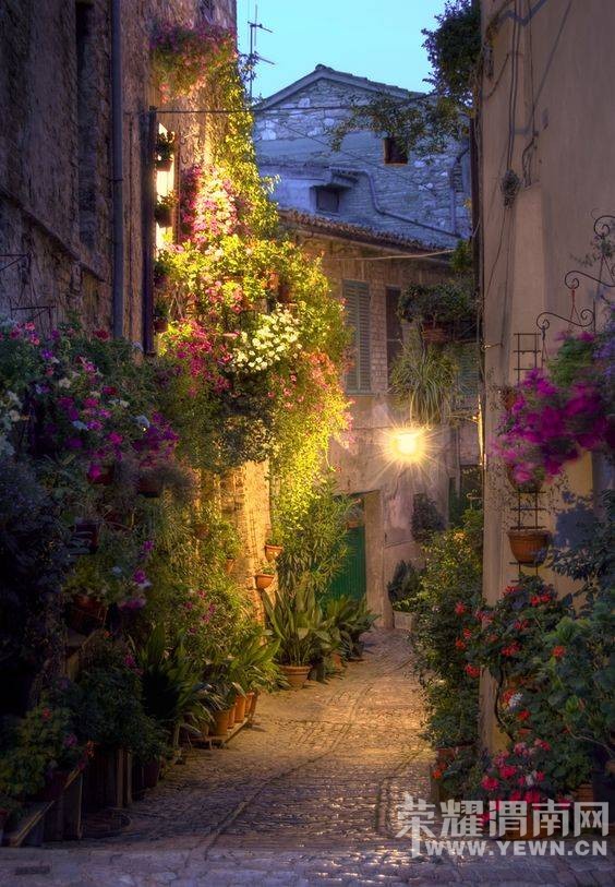 �ⷱ���ƽ������磬�δ����ҵ�����