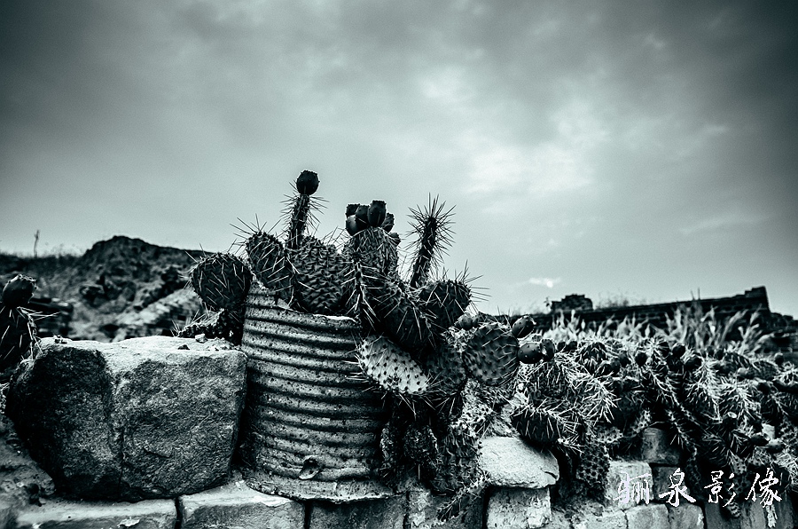 ǧ����ִ��Ž�֮ҢͷҤ��ַ�����γ�����ͼ��