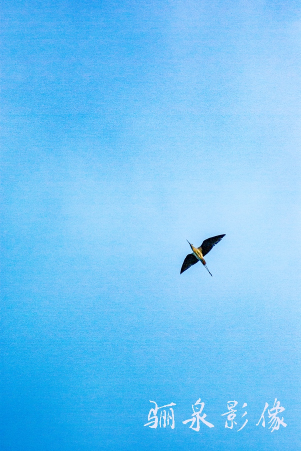 ����ʹ�õ��������-��ͼ��ּ����������ķ���