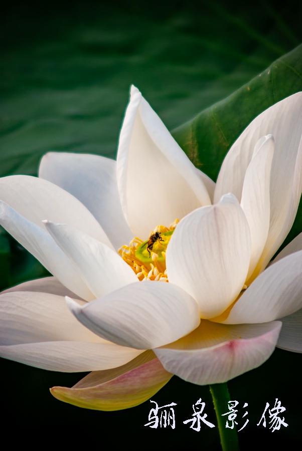 ����ʹ�õ��������-��ͼ��ּ����������ķ���