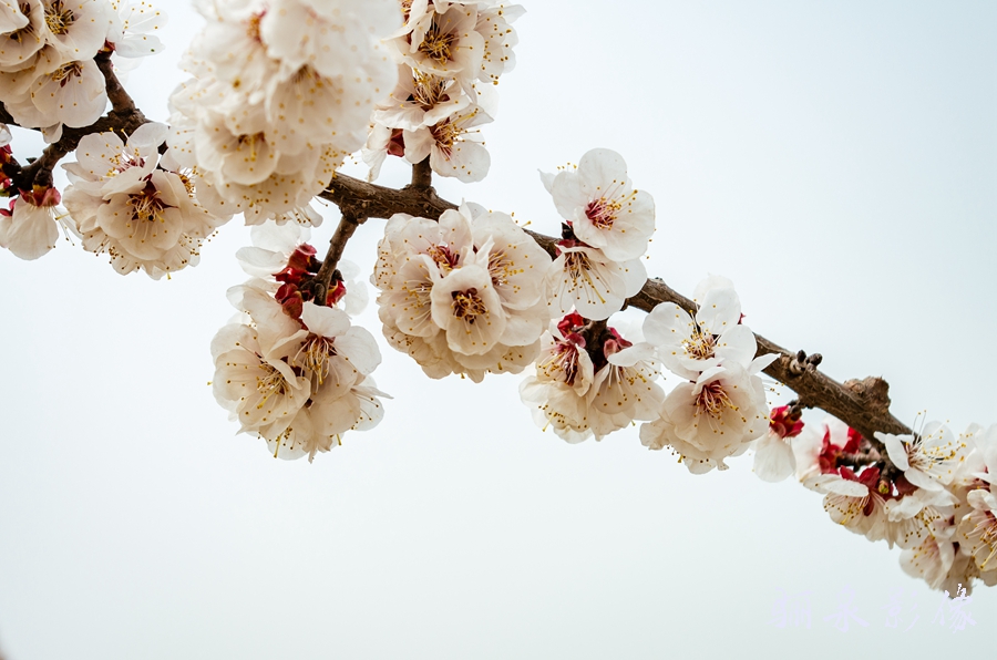 ����ʹ�õ��������-��ͼ��ּ����������ķ���