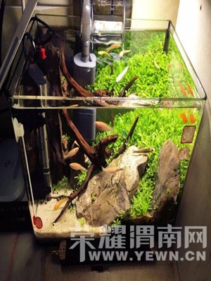 ������ʳ���⣬���ɾ��������������������Ҫ��