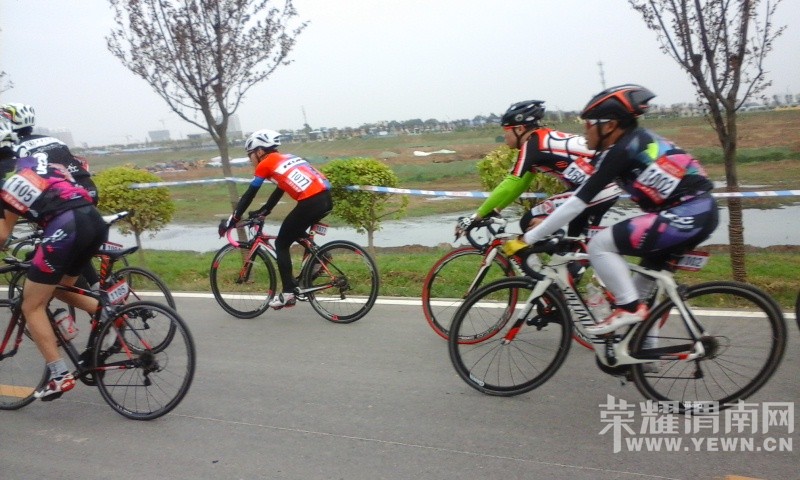 ��μ�ϵ̶�·�ۿ����г���