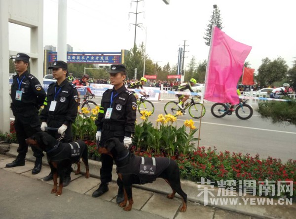 ����Ѳ�ؾ�����ȫ���ٳ������г��� ������Ԥ��Բ������