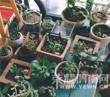 ���ѼҺ͹����һ�Ϊһ�壬��ɻ��г��������ݣ��Գ���һ�����Ź�ҵ������Լ�