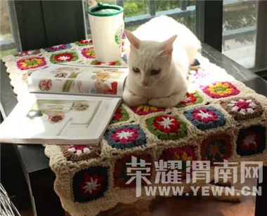 ���ѼҺ͹����һ�Ϊһ�壬��ɻ��г��������ݣ��Գ���һ�����Ź�ҵ������Լ�