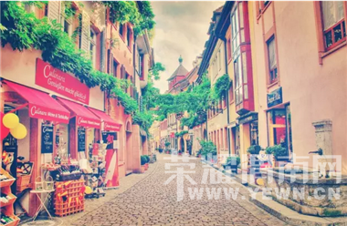 ������飬�������ƣ���ʲô����Ե��ܲã���Ϊ����һ��������Ļ�԰��