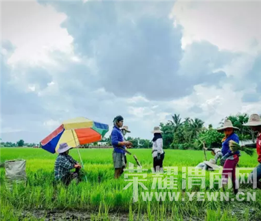 ������飬�������ƣ���ʲô����Ե��ܲã���Ϊ����һ��������Ļ�԰��