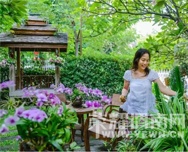 ������飬�������ƣ���ʲô����Ե��ܲã���Ϊ����һ��������Ļ�԰��