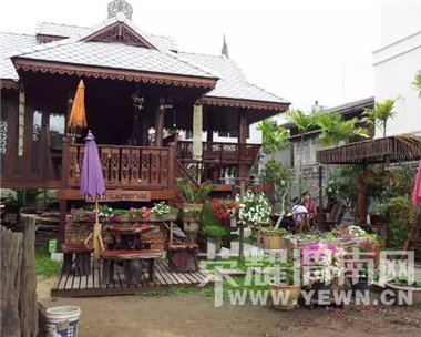 ������飬�������ƣ���ʲô����Ե��ܲã���Ϊ����һ��������Ļ�԰��