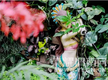 ������飬�������ƣ���ʲô����Ե��ܲã���Ϊ����һ��������Ļ�԰��