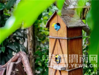 ������飬�������ƣ���ʲô����Ե��ܲã���Ϊ����һ��������Ļ�԰��