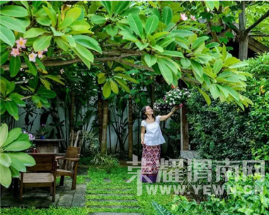 ������飬�������ƣ���ʲô����Ե��ܲã���Ϊ����һ��������Ļ�԰��