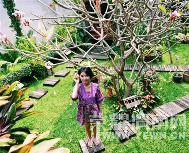 ������飬�������ƣ���ʲô����Ե��ܲã���Ϊ����һ��������Ļ�԰��