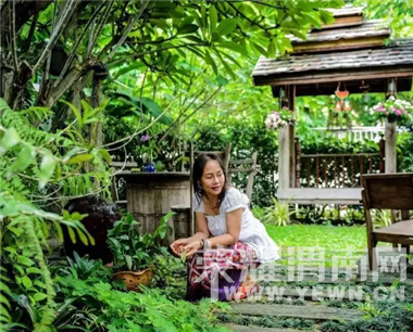 ������飬�������ƣ���ʲô����Ե��ܲã���Ϊ����һ��������Ļ�԰��