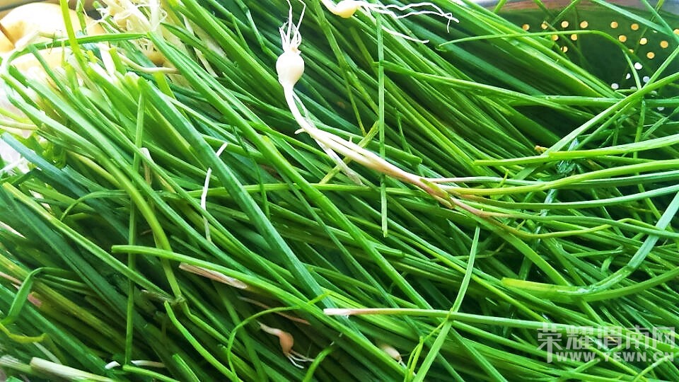 Ұ��С�� �������