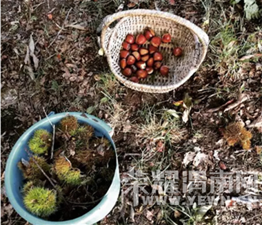 ��������ȡ���㣬��ô���Լ�����ɡ����ڸ����ɱ��䣩