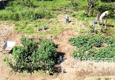 ��������ȡ���㣬��ô���Լ�����ɡ����ڸ����ɱ��䣩