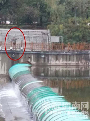 ���������Ⱥӹ�԰������񣬶��������������ô����ϧ�أ�