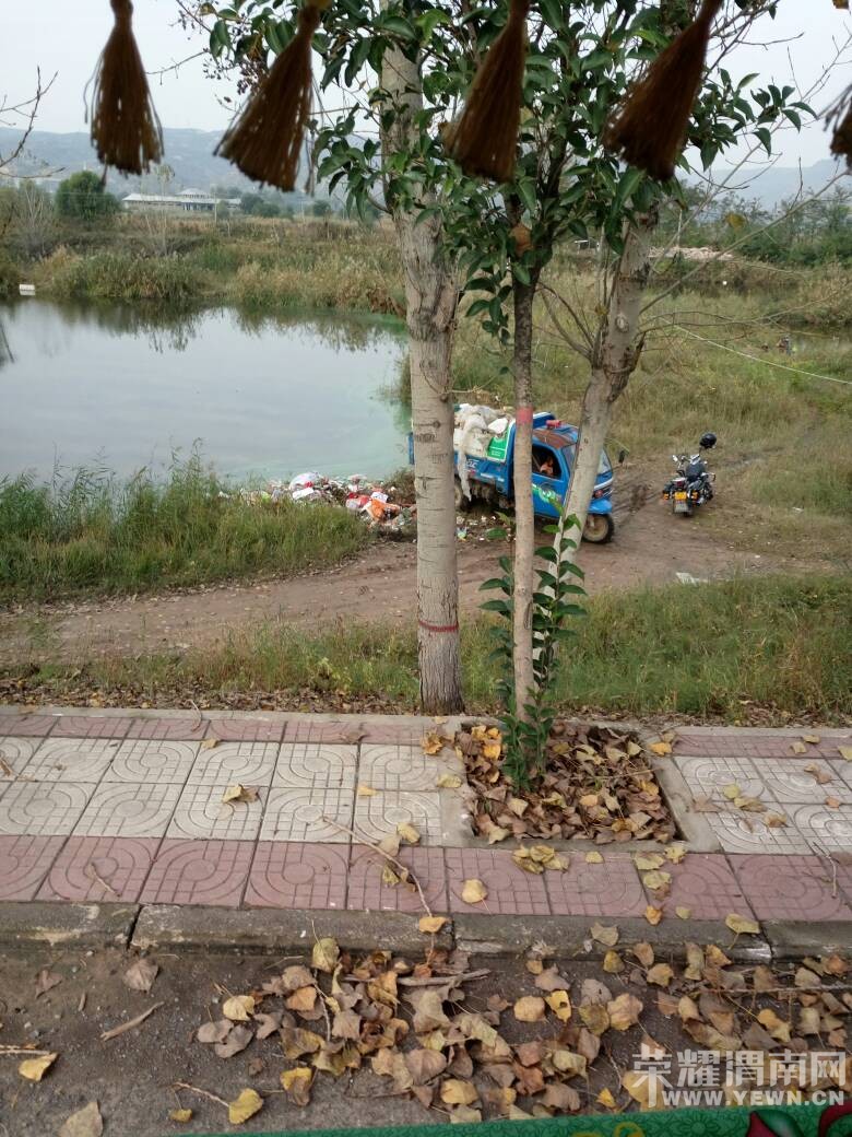 شŮȪͻȻĺ