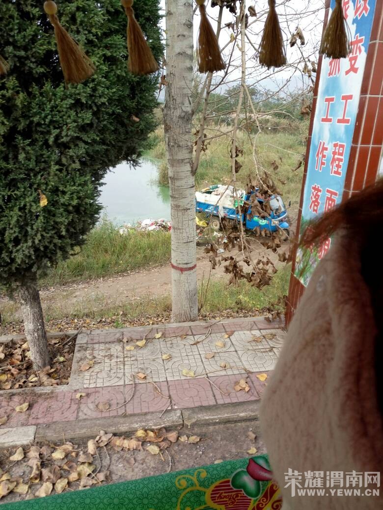شŮȪͻȻĺ