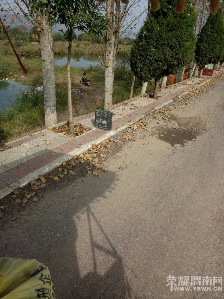 103853ioqaq62g26296169.jpg