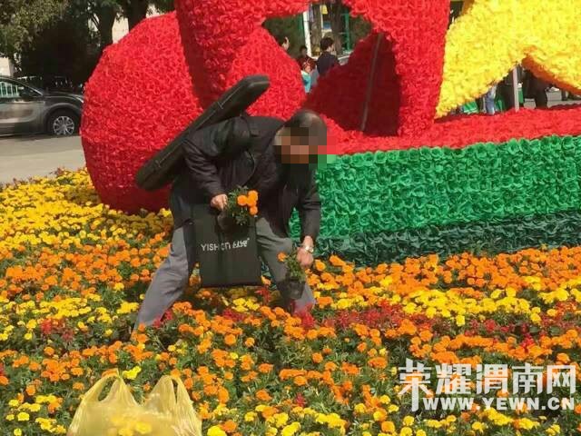 ǲǸӦעԼĽڲ٣