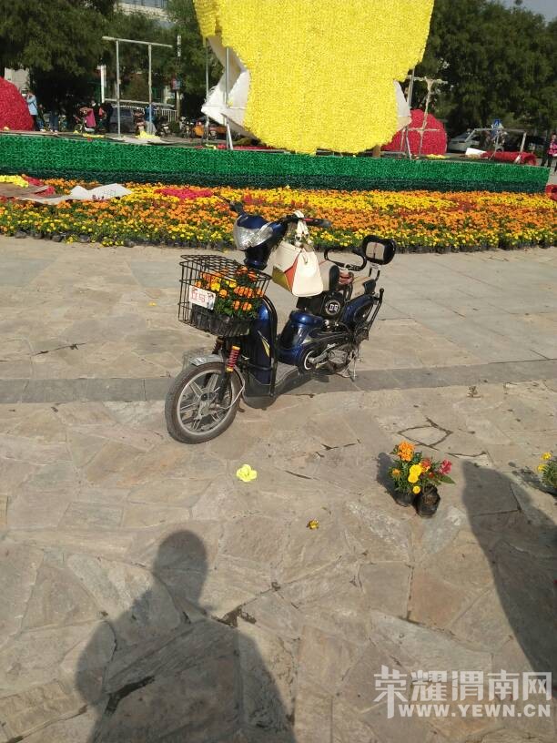 μ�ϵڶ���Ứ�������ɳ�����԰֧����������