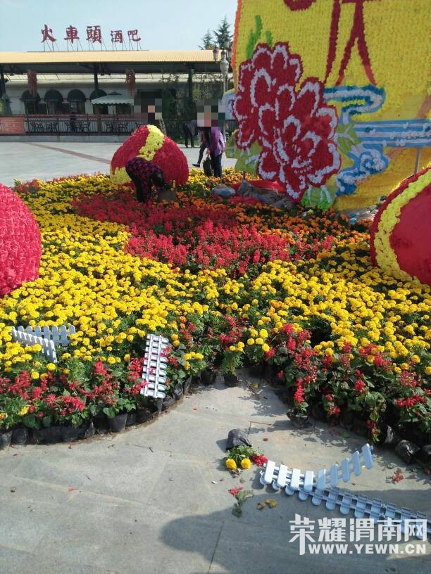 μ�ϵڶ���Ứ�������ɳ�����԰֧����������