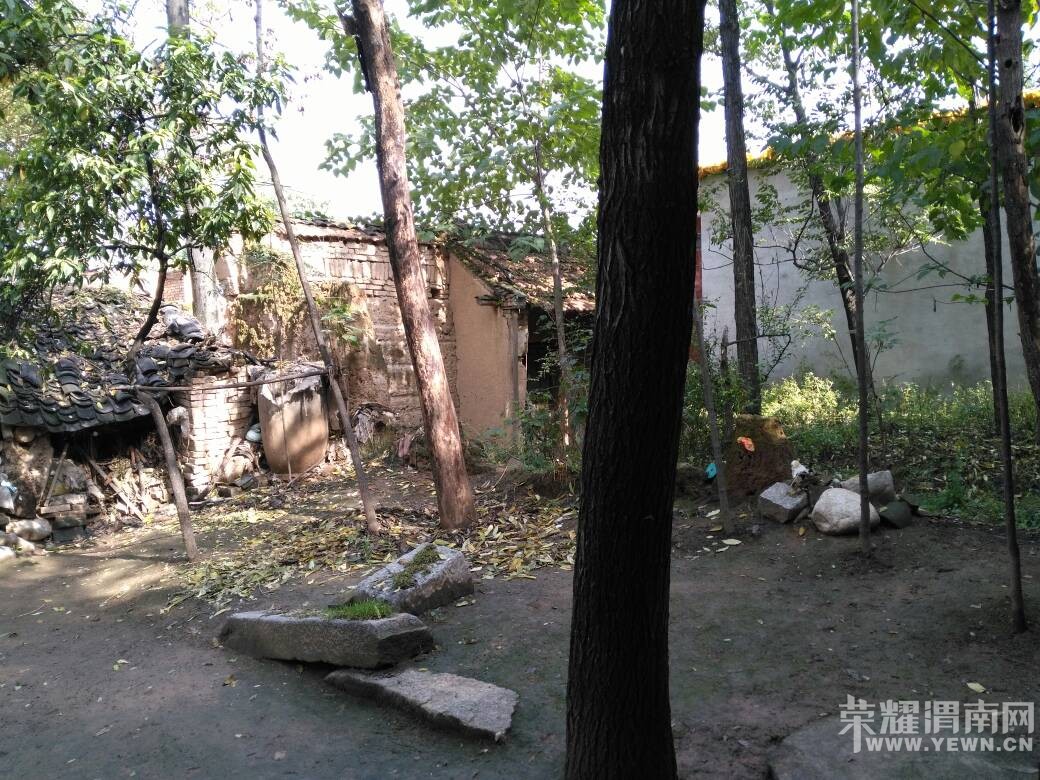 97������Ķ��ӹ��£�ף��ƽƽ��������