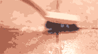 СմͰڶ𴲾ˡ