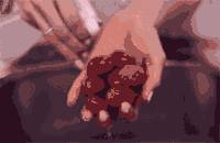 СմͰڶ𴲾ˡ