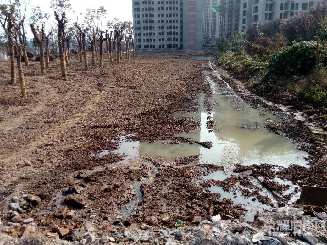 μ���Ͻ��Ļ���԰��ˮ����˭���ܣ�