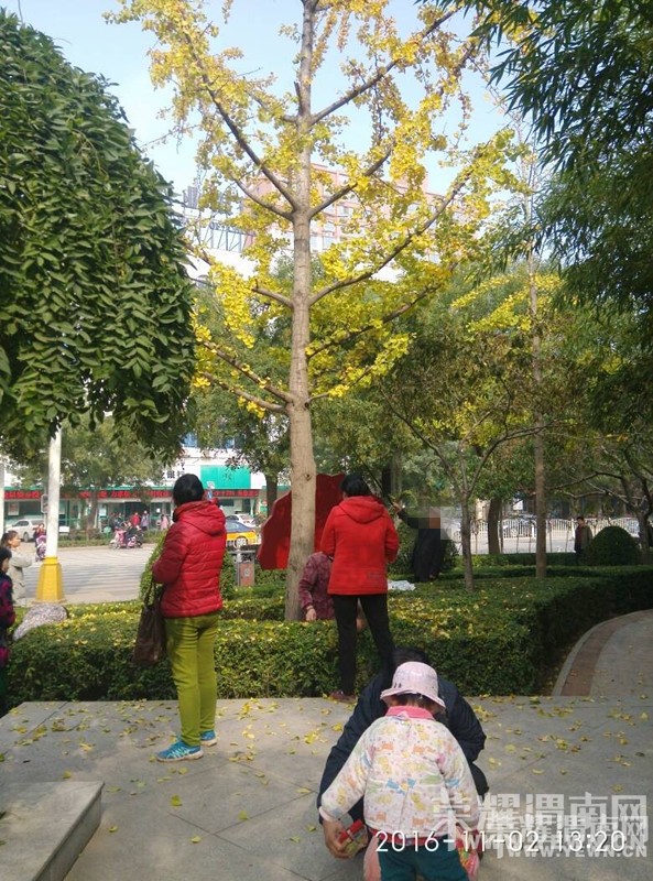 ���·�ͳ���·ʮ�ֵ�һĻ����Ͳ����㣬����������